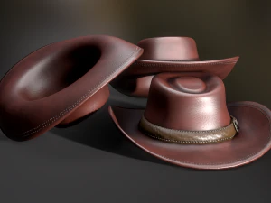 Cow Boy Hat 3D Model