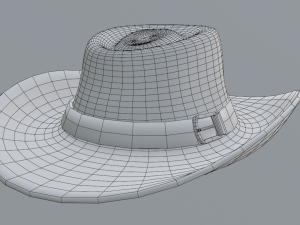 Cow Boy Hat Modello 3D