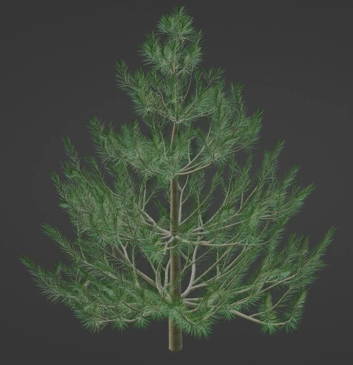 fir spruce pine 3D Model .c4d .max .obj .3ds .fbx .stl .blend