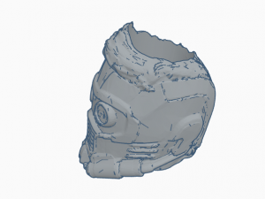 starlord flower pot Model 3D
