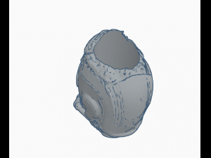 starlord flower pot Model 3D
