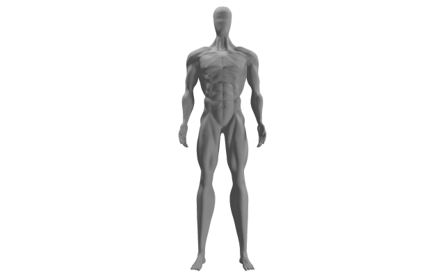 physically developed man 3d Modello 3D .c4d .max .obj .3ds .fbx .stl .blend 