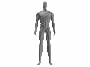 Jongeman anatomie darmen 3D-model $89 - .3ds .blend .c4d .fbx .max .ma .lxo  .obj - Free3D
