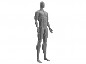 physically developed man 3d Modello 3D