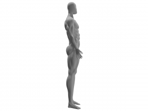 physically developed man 3d Modello 3D