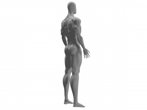 physically developed man 3d Modello 3D