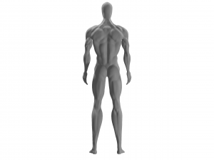physically developed man 3d Modello 3D