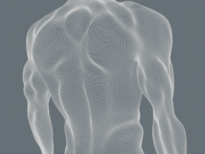 physically developed man 3d Modello 3D
