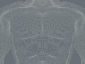 physically developed man 3d Modello 3D