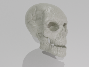 skull low-poly pbr 3D 模型