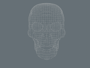 skull low-poly pbr 3D 模型