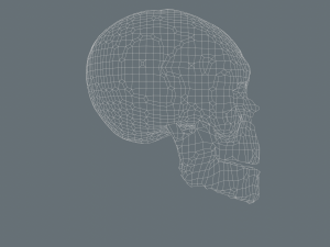 skull low-poly pbr 3D 模型