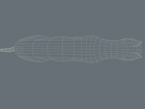 cat 3d low-poly model rigged 3D Model