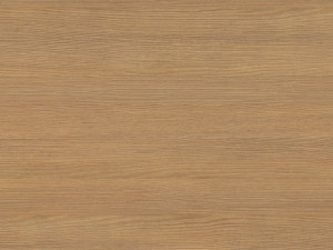 home floor plan Model 3D