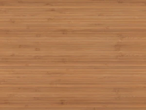 home floor plan 3D Model