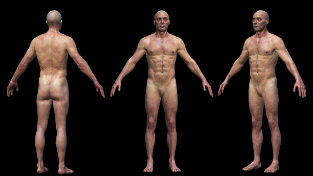 realistic highly detailed man 3D मॉडल .c4d .max .obj .3ds .fbx .stl .blend 
