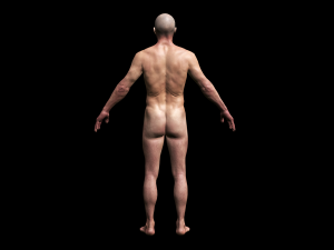 realistic highly detailed man 3D मॉडल