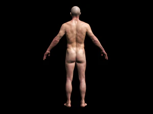 realistic highly detailed man 3D Model