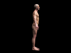 realistic highly detailed man 3D मॉडल