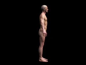 realistic highly detailed man 3D Model