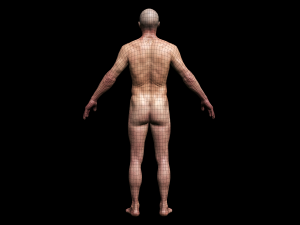 realistic highly detailed man 3D मॉडल