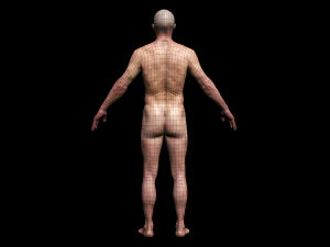 realistic highly detailed man 3D Model