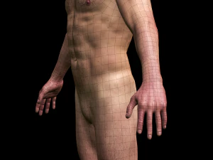 realistic highly detailed man 3D Model