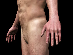 realistic highly detailed man 3D Model