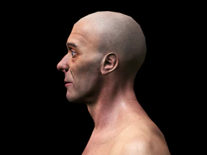 realistic highly detailed man 3D Model