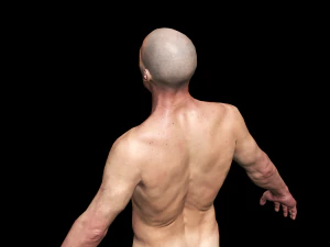 realistic highly detailed man 3D Model