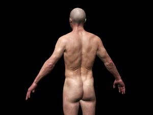 realistic highly detailed man 3D Model