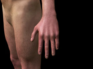 realistic highly detailed man 3D Model