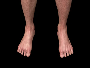 realistic highly detailed man 3D Model