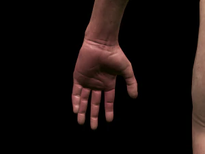 realistic highly detailed man 3D Model