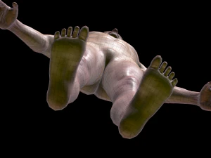 realistic highly detailed man 3D Model