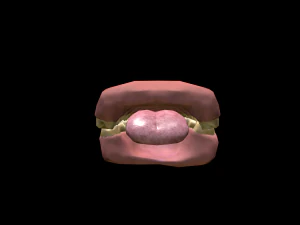 realistic highly detailed man 3D Model