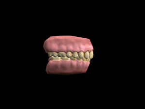 realistic highly detailed man 3D Model