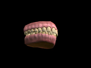 realistic highly detailed man 3D Model