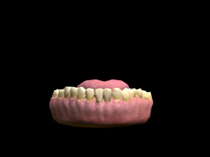 realistic highly detailed man 3D Model