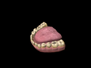 realistic highly detailed man 3D Model