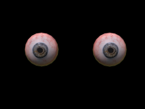 realistic eye 3D 模型