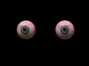 realistic eye Modello 3D