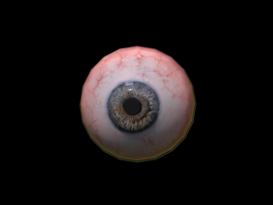 realistic eye Modello 3D