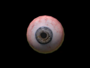 occhio realistico Modello 3D