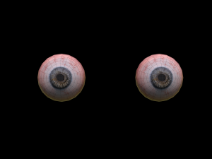realistic eye Modello 3D