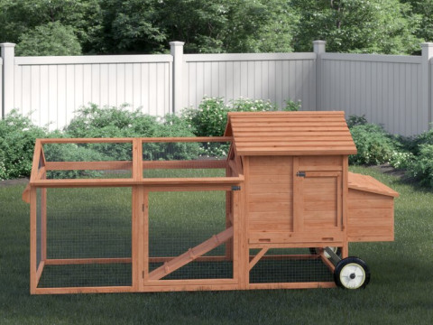Bayer Feet Chicken Coop - Chicken Run Model 3D