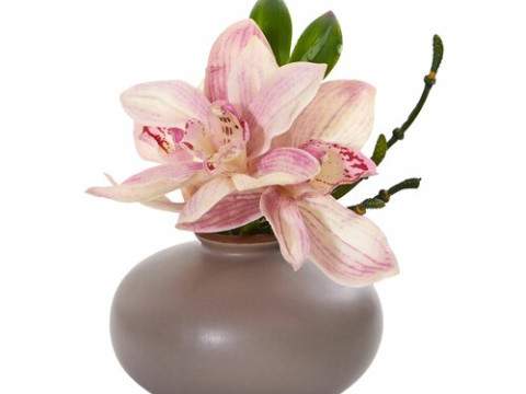 Cymbidium Orchid Floral Arrangement in Vase 3D मॉडल