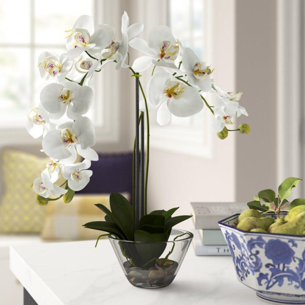 Phalaenopsis Orchid Floral Arrangement in Vase 3D Modell .c4d .max .obj .3ds .fbx .stl .blend