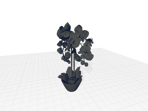 Phalaenopsis Orchid Floral Arrangement in Vase 3D Modell