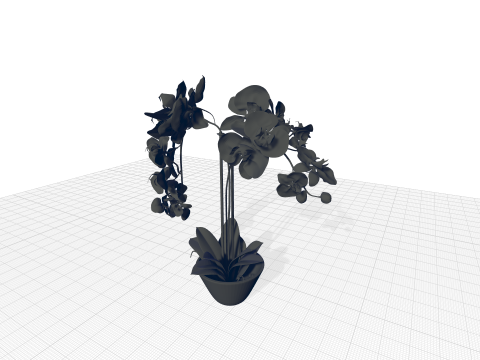 Phalaenopsis Orchid Floral Arrangement in Vase 3D Modell